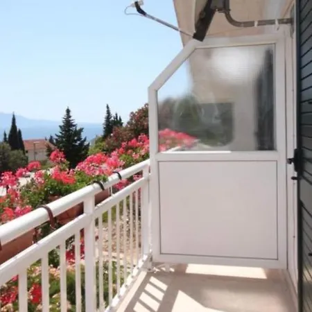 Druzijanic Apartman *
